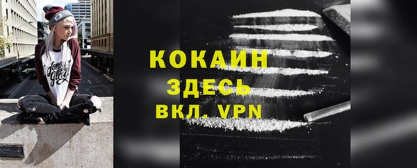 хмурый Снежногорск
