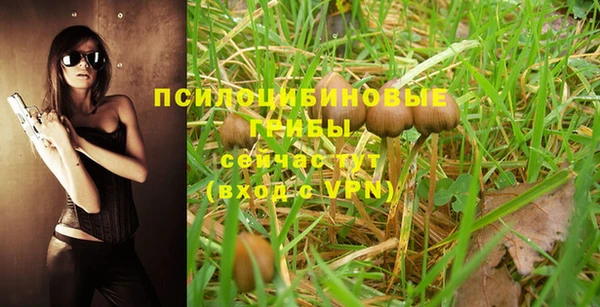 кокаин перу Дмитриев
