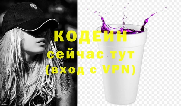хмурый Снежногорск