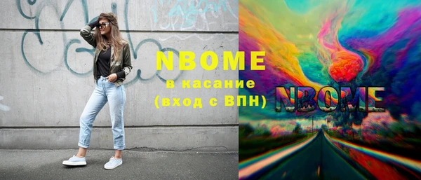 хмурый Снежногорск