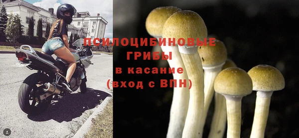 дживик Слюдянка
