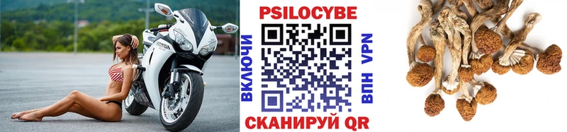 Псилоцибиновые грибы ЛСД  Новоузенск 