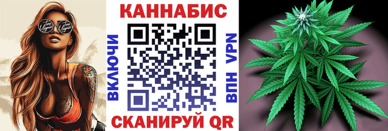 Шишки марихуана MAZAR  продажа наркотиков  Новоузенск 